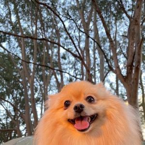 Meet your Posher, Doris